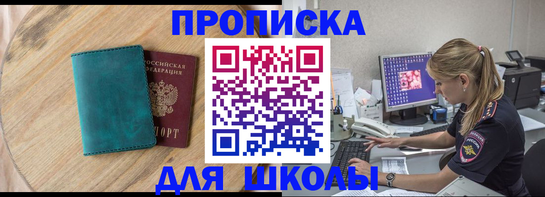 форма 3 в Сольцах
